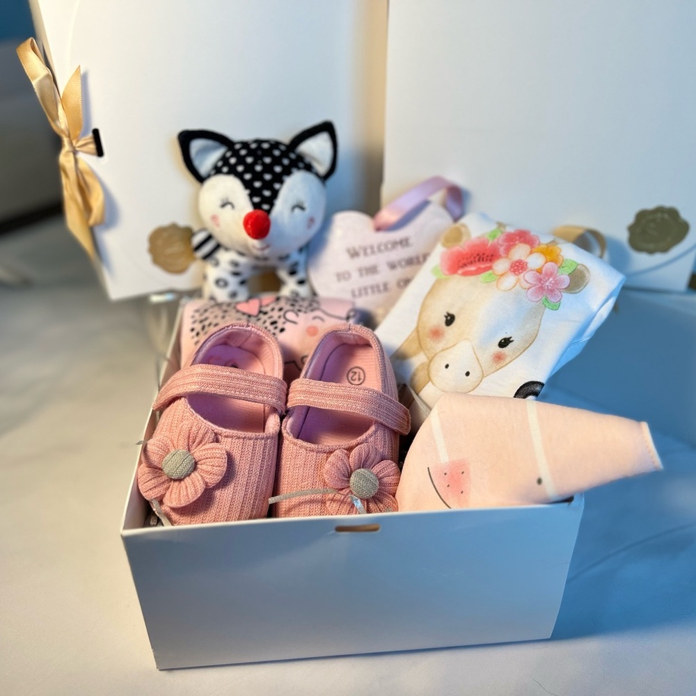 Adorable Pink Hedgehog and Safari Animal One Piece Set Ready to Gift Set